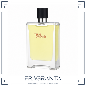 Hermès Terre d'Hermès Eau de Toilette 100ml – product image